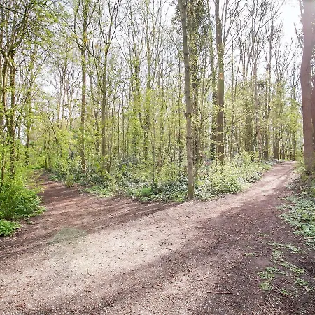 Lovely In With Garden * Noordwijkerhout