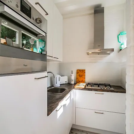 In Noordwijk Near Beaches *