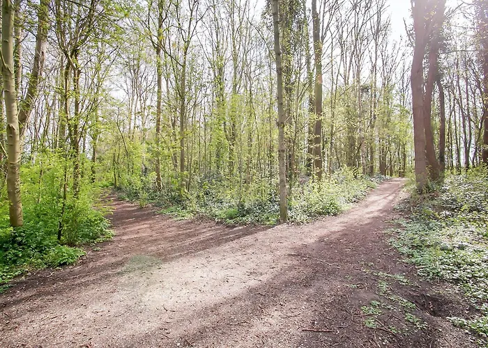 In Noordwijk Near Beaches Ferienhaus *