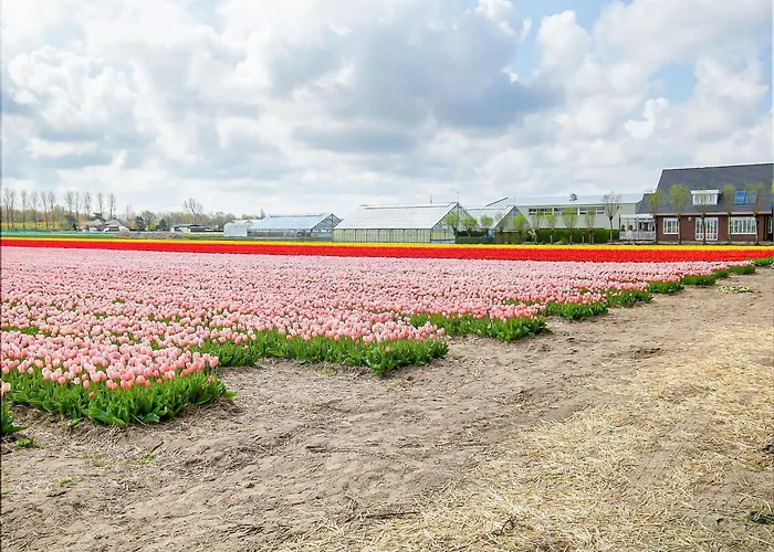 In Noordwijk Near Beaches Ferienhaus Noordwijkerhout