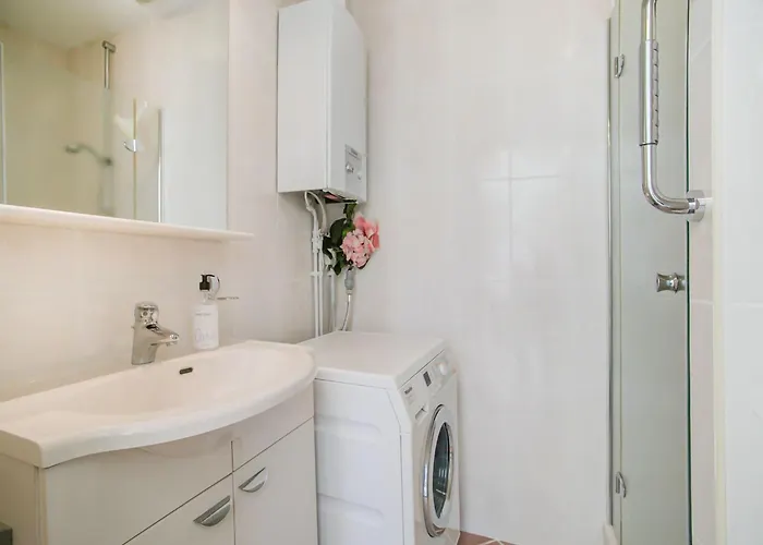 In Noordwijk Near Beaches *